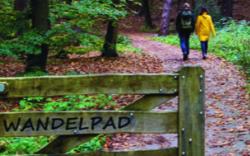 Stellingpad, winnende wandelroute 2023