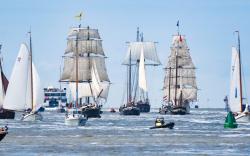 Tall Ships Races Harlingen